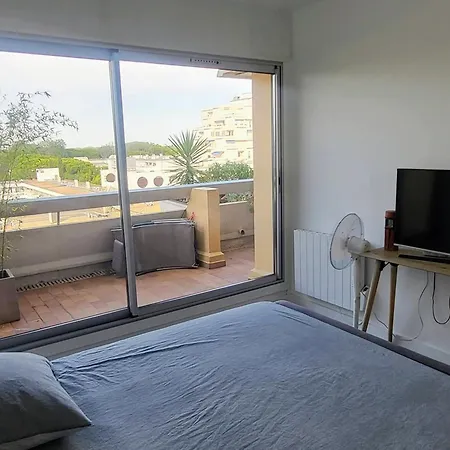 Apartment Avec Terrasse Lumineuse A - Fr-1-716-82